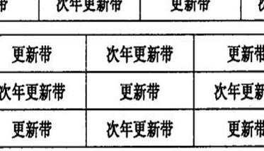 退化竹林块状更新改造方法 竹林改造方案