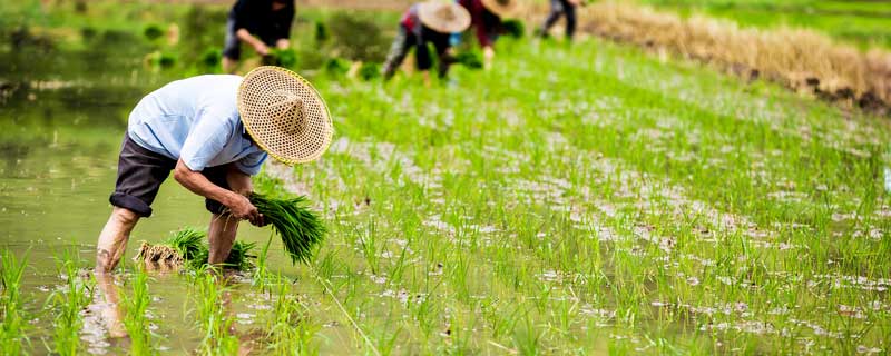 劳动节法定节假日是几天（2023年五一劳动节法定节假日是几天）