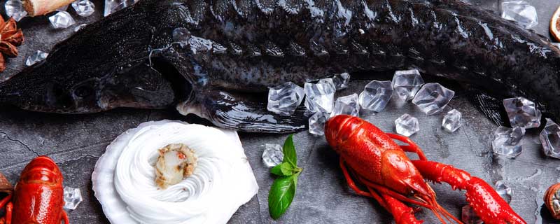 人工鲟鱼多少钱一斤 人工鲟鱼多少钱一斤鲟龙鱼有毒吗