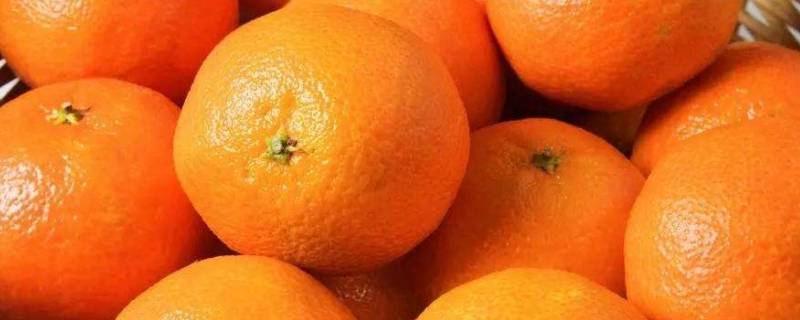 橘子顶部叫什么桔蒂 橘子的果蒂是什么