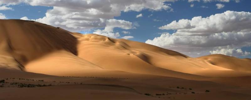 沙漠大约覆盖地球表面的几分之几 沙漠大概覆盖地球表面的多少