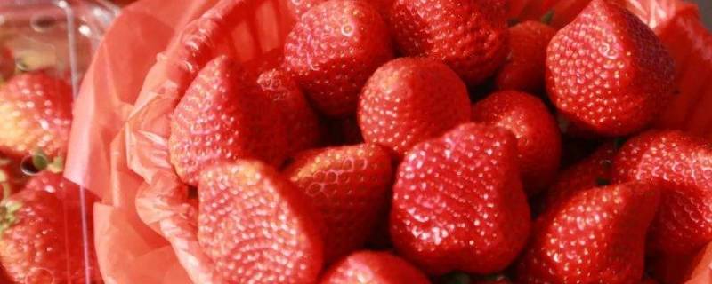 草莓有什么寓意 草莓有什么寓意和象征