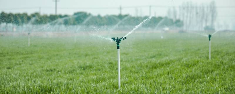 农用灌溉用什么水管（农田灌溉用水管）