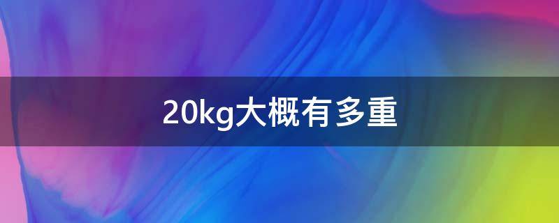 20kg大概有多重（20kg大概有多重 实物）