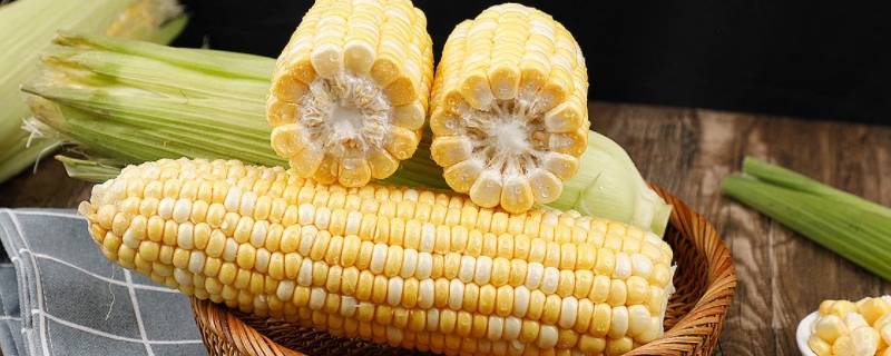 玉米是什么 玉米是什么带的作物
