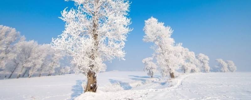 冬天有什么景色和现象 冬天有什么景色和现象一年级