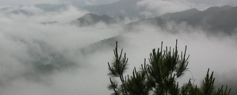 为什么下雨天会有很大的雾 下雨天会有雾吗