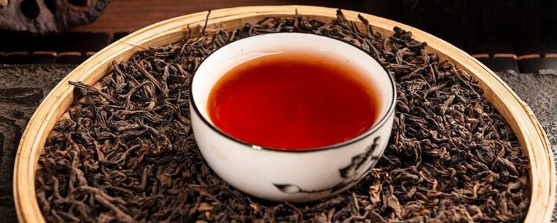 适合长期闷泡的茶是什么 适合于闷泡的茶叶