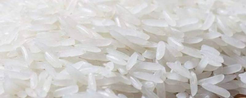 干拌饭的米是什么米 筷手小厨干拌饭的米是什么米
