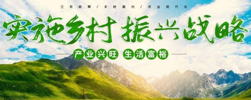 什么是解决农村一切问题的前提（什么是解决农村一切问题的前提和基础）