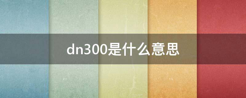 dn300是什么意思 图纸dn300是什么意思