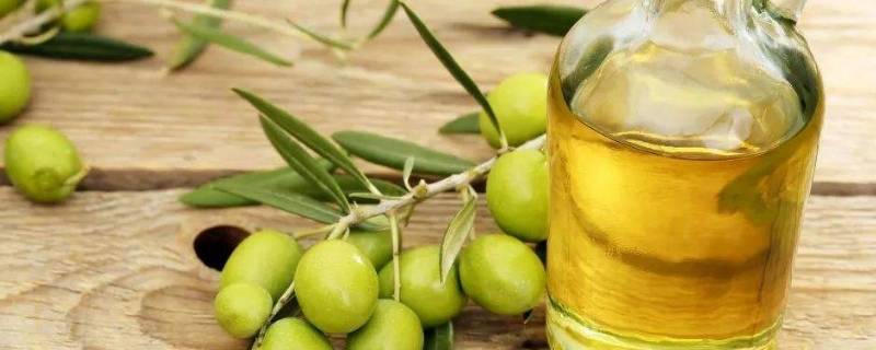 精炼橄榄油与初榨橄榄油的区别 怎么区分初榨橄榄油和精炼橄榄油