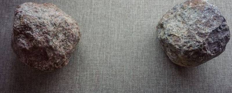 在旧石器时代石球是一种什么工具 旧石器时代石球的使用方法