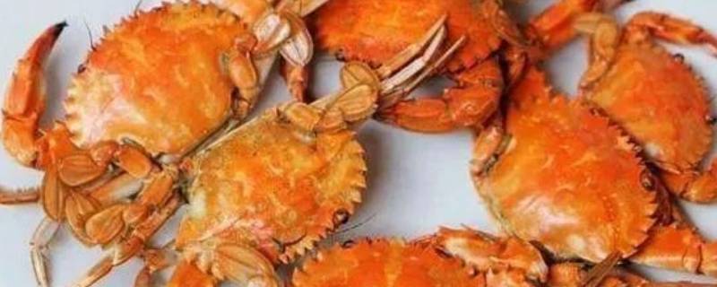 几月份是吃螃蟹的季节 什么时候是吃螃蟹的季节?