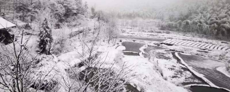 10月份下雪的城市有哪些（中国十月下雪的城市）