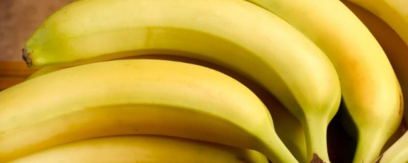 香蕉是水果吗 香蕉是水果吗幼儿问题