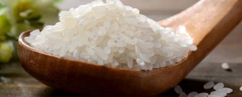 为什么大米密封起来了还有米虫 为什么大米密封起来了还有米虫的味道