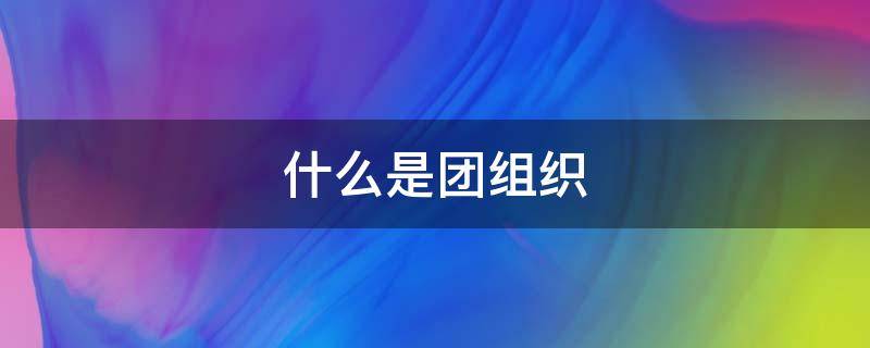 什么是团组织 什么是团组织的骨干和核心