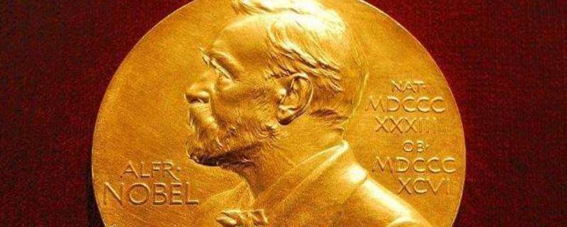 诺贝尔有几个奖 诺贝尔奖有几个奖