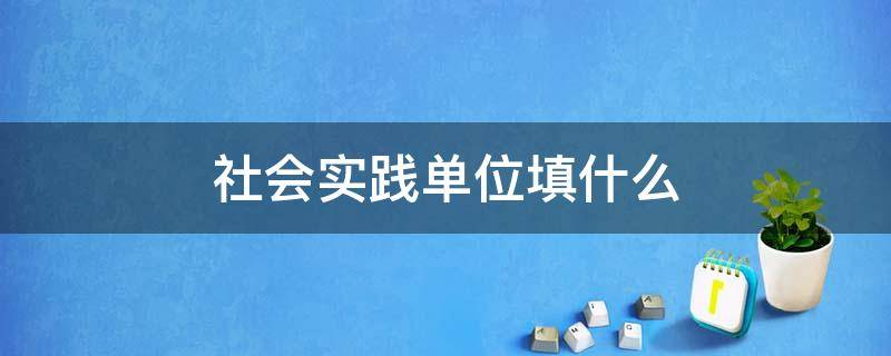 社会实践单位填什么 社会实践单位性质怎么填