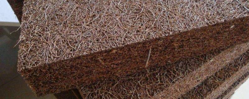 棕床垫生虫子怎么办 棕床垫长虫怎么处理