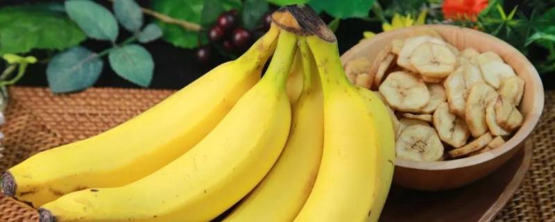 香蕉的特点 云南高山香蕉的特点