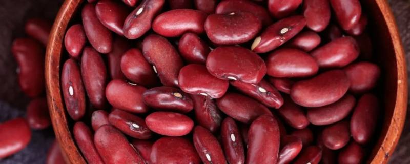 红腰豆和红芸豆怎么区分 大红芸豆和红腰豆是一种豆吗?