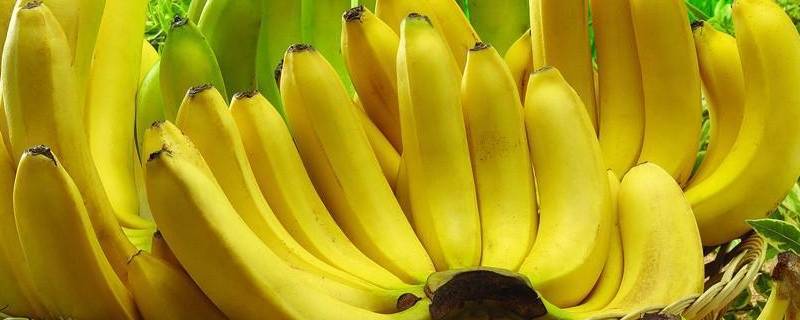香蕉是感光食物吗（香蕉 感光）