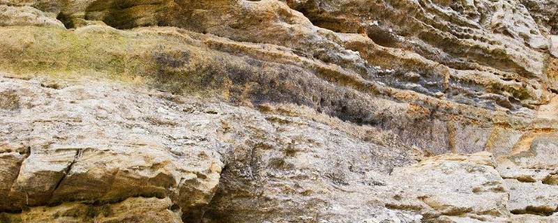 白云岩和石灰岩区别（白云岩和白云质灰岩有什么不同?）