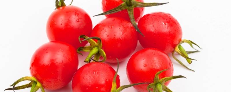 小番茄怎么保存时间长一点 小番茄存放的久一些吗