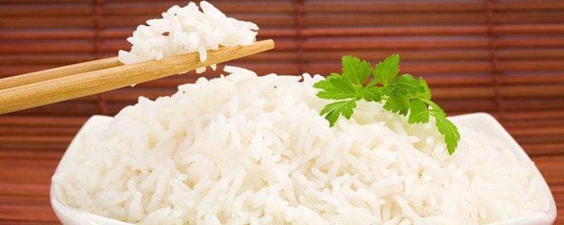 蒸米饭的比例是多少 高压锅蒸米饭的比例是多少
