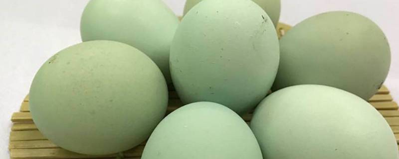 绿皮鸡蛋是什么品种鸡 什么品种的鸡下绿壳蛋