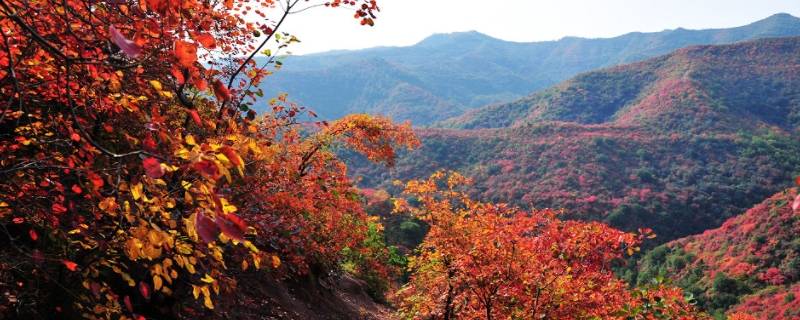 韩城市景点（韩城市景点介绍）