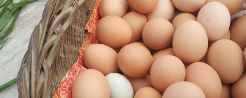 怎么保护鸡蛋不会碎 如何保护鸡蛋不碎