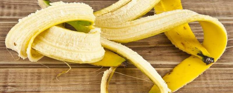 香蕉皮有什么用 香蕉皮有什么用处