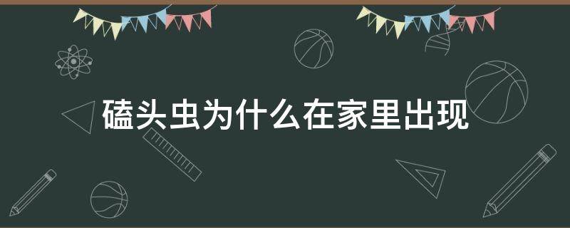 磕头虫为什么在家里出现 磕头虫在家里有危害吗