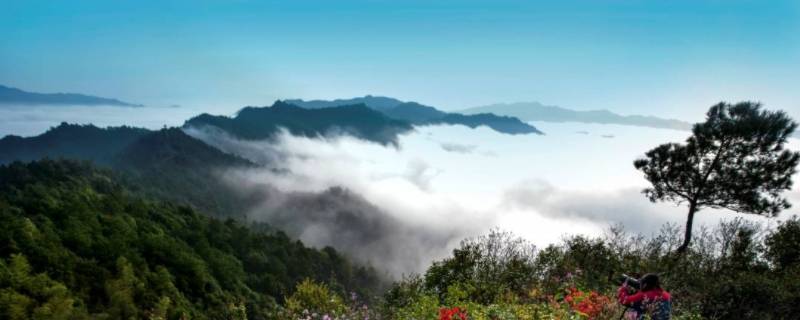 平江县景点（平江县景点旅游）