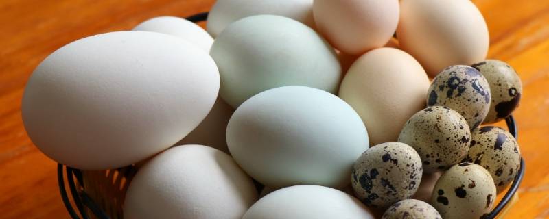 一个鸡蛋有多重 一个鸡蛋重多少千克