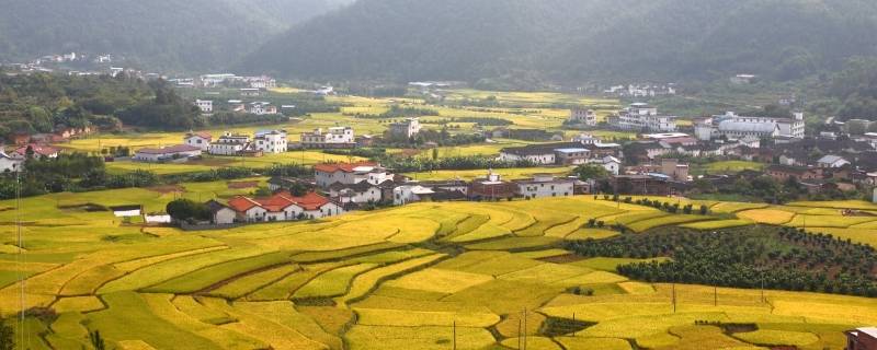 蕉岭县景点（蕉岭县旅游景点）