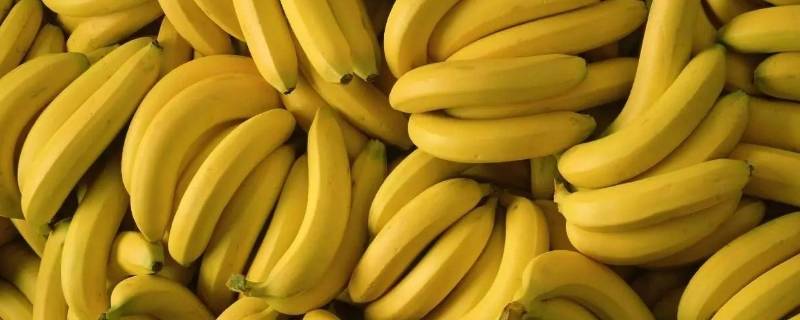 香蕉保存一个月的方法 生香蕉怎么保存可以达到两个月
