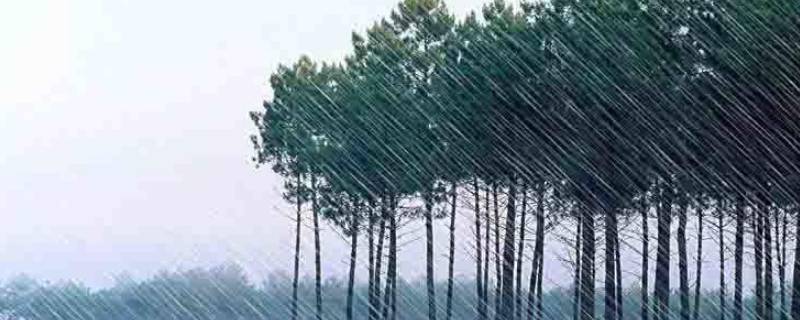 下雨前自然界有哪些现象（下雨前的自然现象都有哪些）