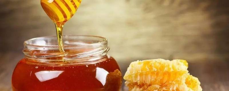 蜂蜜和蜂王浆有什么区别（蜂蜜和蜂王浆有什么区别?）