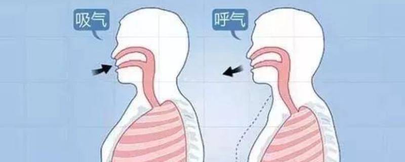 人体呼吸过程 人体呼吸过程的四个环节