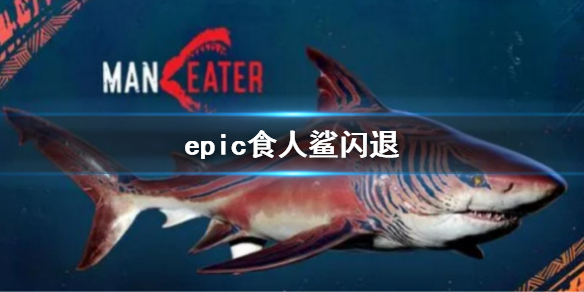 epic食人鲨闪退怎么办（epic食人鲨怎么购买便宜）