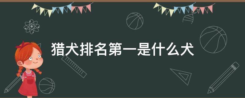 猎犬排名第一是什么犬 中国猎犬排名第一是什么犬一