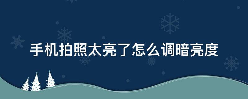 手机拍照太亮了怎么调暗亮度 手机照片比较暗怎么调亮