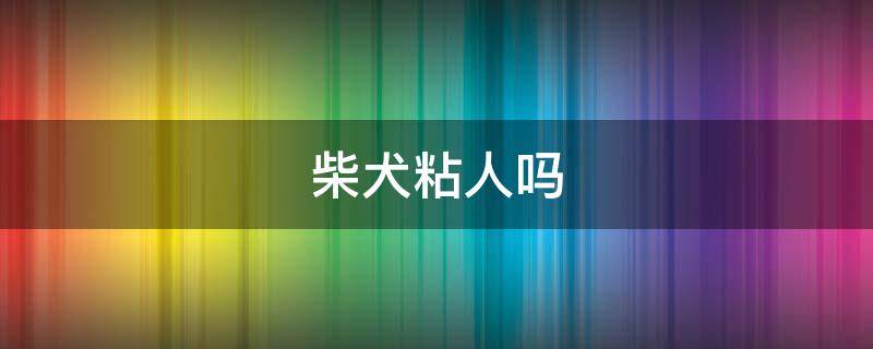 柴犬粘人吗 柴犬为什么突然开始粘人