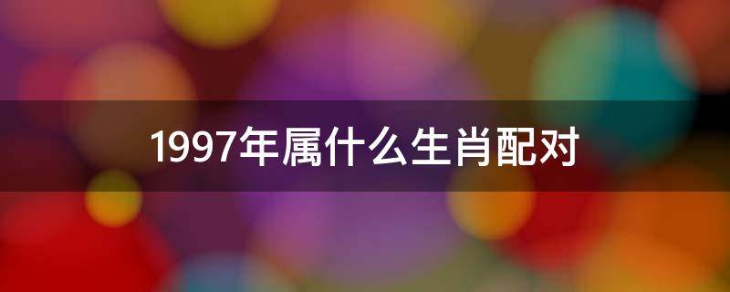 1997年属什么生肖配对 1997年属什么生肖配对男