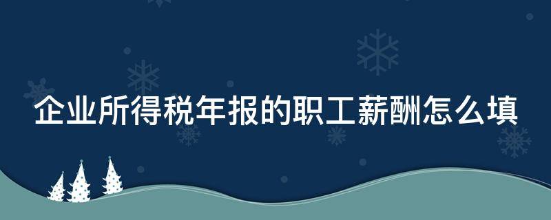 企业所得税年报的职工薪酬怎么填 企业所得税年报职工薪酬怎么填报