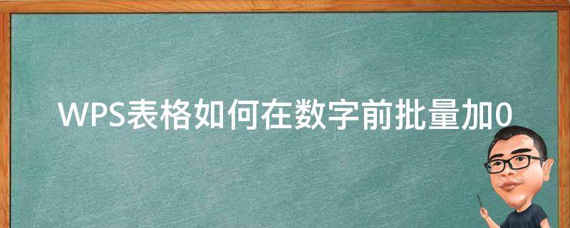 WPS表格如何在数字前批量加0（wps表格批量在一列数字前加0）